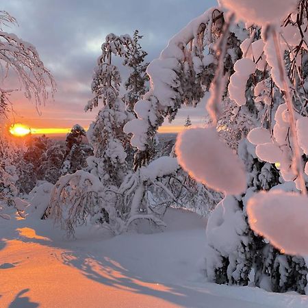 Milis Chalet Ylläsjärvi Exteriör bild